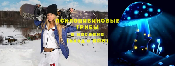 а пвп мука Алзамай