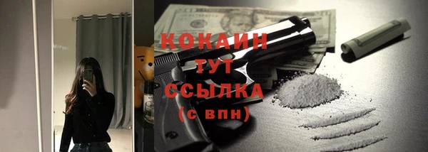 дмт Абаза