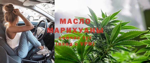 дмт Абаза