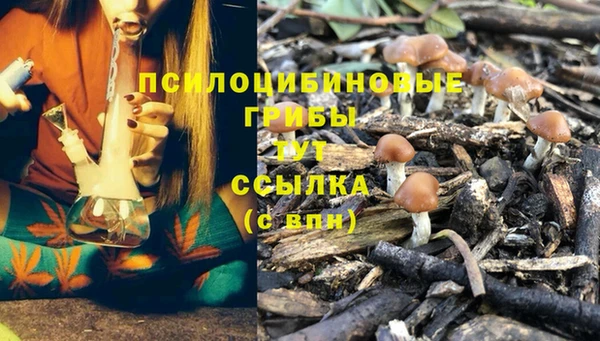 дмт Абаза